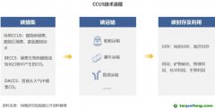 2022 年中國(guó)碳捕集、利用與封存（CCUS）洞察報(bào)告