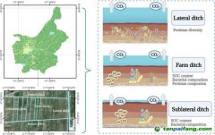 研究揭示影響不同級別農田溝渠碳排放的關鍵機制