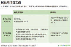 企業(yè)領導者為什么必須了解碳信用額？