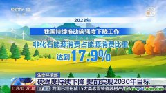 碳強(qiáng)度持續(xù)下降 我國已提前實現(xiàn)2030年目標(biāo)